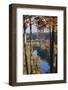 Hobbs State Park Conservation Area, War Eagle, Arkansas, USA-Walter Bibikow-Framed Photographic Print