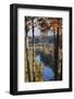 Hobbs State Park Conservation Area, War Eagle, Arkansas, USA-Walter Bibikow-Framed Photographic Print