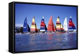 Hobie Cats Anchored and Lined Up Along the Shore, C.1990-null-Framed Stretched Canvas