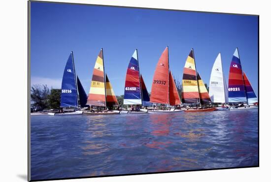 Hobie Cats Anchored and Lined Up Along the Shore, C.1990-null-Mounted Premium Photographic Print