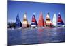 Hobie Cats Anchored and Lined Up Along the Shore, C.1990-null-Mounted Premium Photographic Print