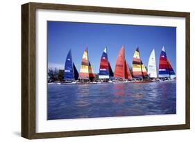 Hobie Cats Anchored and Lined Up Along the Shore, C.1990-null-Framed Photographic Print