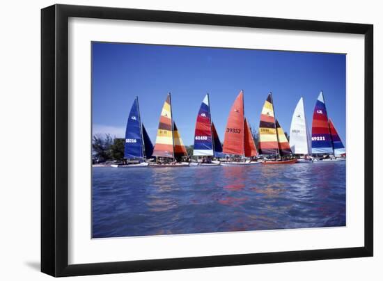 Hobie Cats Anchored and Lined Up Along the Shore, C.1990-null-Framed Photographic Print