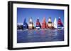 Hobie Cats Anchored and Lined Up Along the Shore, C.1990-null-Framed Photographic Print