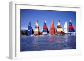 Hobie Cats Anchored and Lined Up Along the Shore, C.1990-null-Framed Photographic Print