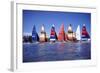 Hobie Cats Anchored and Lined Up Along the Shore, C.1990-null-Framed Photographic Print