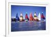 Hobie Cats Anchored and Lined Up Along the Shore, C.1990-null-Framed Photographic Print