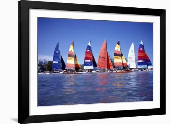 Hobie Cats Anchored and Lined Up Along the Shore, C.1990-null-Framed Photographic Print