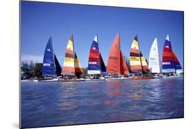 Hobie Cats Anchored and Lined Up Along the Shore, C.1990-null-Mounted Photographic Print