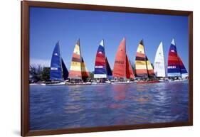 Hobie Cats Anchored and Lined Up Along the Shore, C.1990-null-Framed Photographic Print