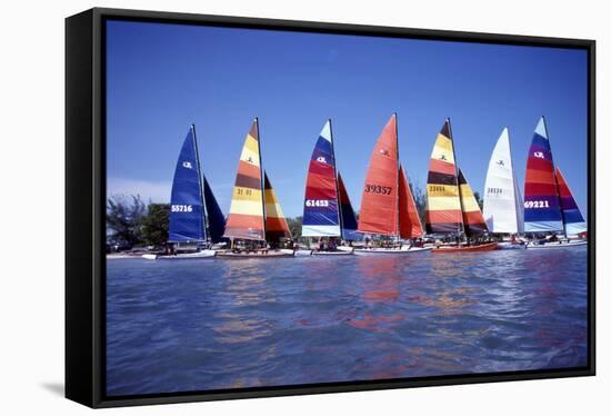 Hobie Cats Anchored and Lined Up Along the Shore, C.1990-null-Framed Stretched Canvas