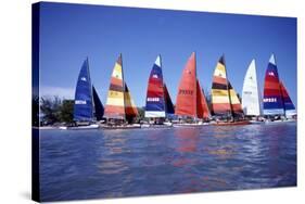 Hobie Cats Anchored and Lined Up Along the Shore, C.1990-null-Stretched Canvas