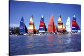 Hobie Cats Anchored and Lined Up Along the Shore, C.1990-null-Stretched Canvas