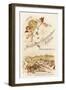 Hochheimer Champagner Kellerei-null-Framed Art Print