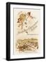 Hochheimer Champagner Kellerei-null-Framed Art Print