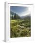 Hochmoor at the Prebersee, Salzburg, Austria-Rainer Mirau-Framed Photographic Print