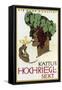 Hochriegl German-Vintage Apple Collection-Framed Stretched Canvas