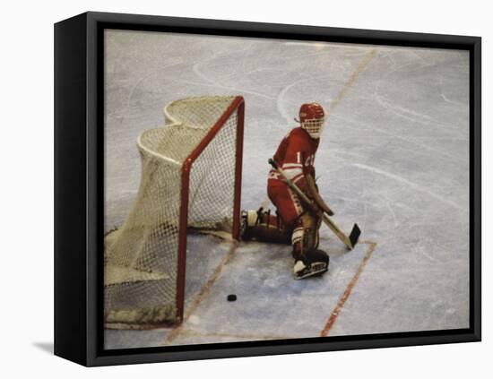 Hockey Goalie-null-Framed Stretched Canvas