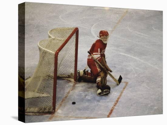 Hockey Goalie-null-Stretched Canvas