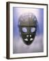 Hockey Goalkeeper's Mask-null-Framed Photographic Print