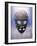 Hockey Goalkeeper's Mask-null-Framed Photographic Print