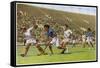 Hockey: India Beats USA by 24 to 1-null-Framed Stretched Canvas