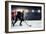 Hockey Match at Rink  . Mixed Media-Sergey Nivens-Framed Photographic Print