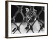 Hockey: Montreal Canadians Bernard Boom Boom Geoffrion Alone, Shooting-Yale Joel-Framed Premium Photographic Print