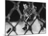 Hockey: Montreal Canadians Bernard Boom Boom Geoffrion Alone, Shooting-Yale Joel-Mounted Premium Photographic Print