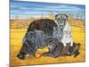Hocking County Pug-Cats, 1995-Ditz-Mounted Giclee Print
