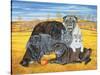 Hocking County Pug-Cats, 1995-Ditz-Stretched Canvas