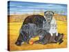 Hocking County Pug-Cats, 1995-Ditz-Stretched Canvas
