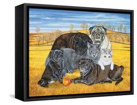 Hocking County Pug-Cats, 1995-Ditz-Framed Stretched Canvas