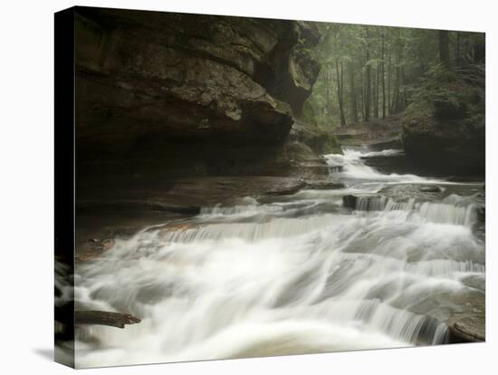 Hocking Hills State Park, Ohio, United States of America, North America-Michael Snell-Stretched Canvas