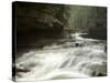 Hocking Hills State Park, Ohio, United States of America, North America-Michael Snell-Stretched Canvas