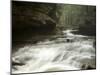 Hocking Hills State Park, Ohio, United States of America, North America-Michael Snell-Mounted Photographic Print