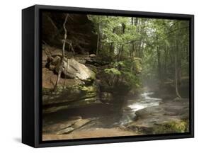 Hocking Hills State Park, Ohio, United States of America, North America-Michael Snell-Framed Stretched Canvas
