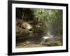 Hocking Hills State Park, Ohio, United States of America, North America-Michael Snell-Framed Photographic Print