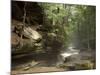 Hocking Hills State Park, Ohio, United States of America, North America-Michael Snell-Mounted Photographic Print