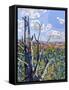 Hockley Valley-Mandy Budan-Framed Stretched Canvas