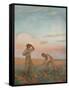 Hoeing, c1872-1911, (1911)-George Clausen-Framed Stretched Canvas