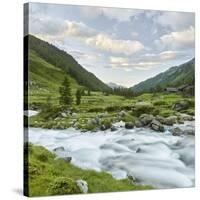 Hofalm, Debantbach, Debanttal, National Park Hohe Tauern, Tyrol, Austria-Rainer Mirau-Stretched Canvas
