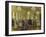 Hofball Im Schloss Reinsberg-Adolph von Menzel-Framed Giclee Print