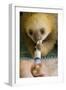 Hoffmann'S Two-Toed Sloth (Choloepus Hoffmanni) Orphaned Baby Bottle Feeding-Suzi Eszterhas-Framed Premium Photographic Print