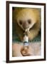 Hoffmann'S Two-Toed Sloth (Choloepus Hoffmanni) Orphaned Baby Bottle Feeding-Suzi Eszterhas-Framed Photographic Print