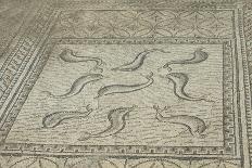 Ancient Roman Dolphin Mosaic at Volubilis-Hofmeester-Photographic Print