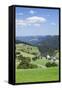 Hofsgrund, Schauinsland Mountain, Black Forest, Baden Wurttemberg, Germany, Europe-Markus Lange-Framed Stretched Canvas