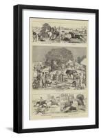 Hog-Hunting in Bengal-Alfred Chantrey Corbould-Framed Giclee Print