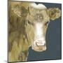 Hogans Brown Cow-Beverly Dyer-Mounted Art Print