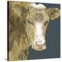 Hogans Brown Cow-Beverly Dyer-Stretched Canvas